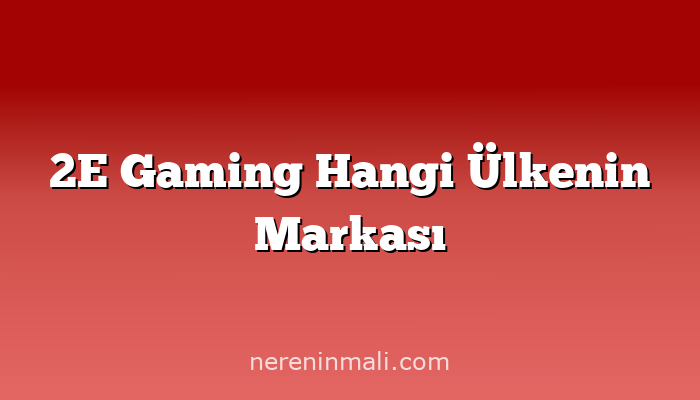 2E Gaming Hangi Ülkenin Markası