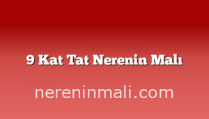 9 Kat Tat Nerenin Malı