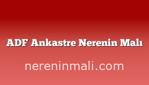 ADF Ankastre Nerenin Malı