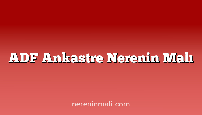 ADF Ankastre Nerenin Malı