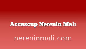 Accascup Nerenin Malı