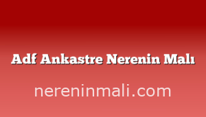 Adf Ankastre Nerenin Malı