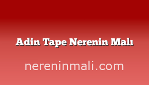 Adin Tape Nerenin Malı