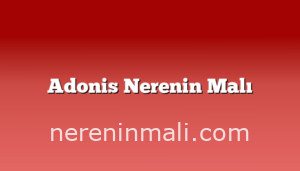 Adonis Nerenin Malı