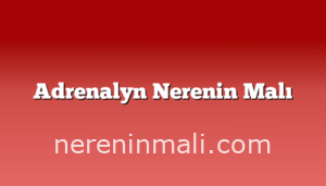 Adrenalyn Nerenin Malı