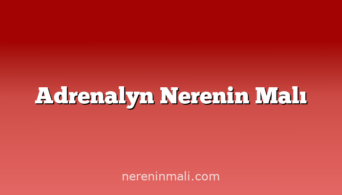 Adrenalyn Nerenin Malı