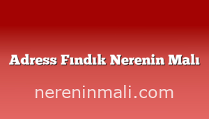 Adress Fındık Nerenin Malı