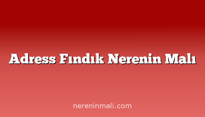 Adress Fındık Nerenin Malı