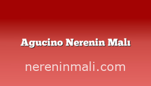 Agucino Nerenin Malı