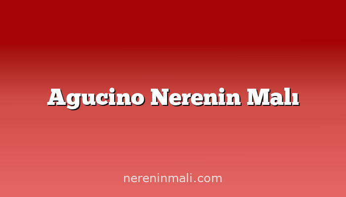 Agucino Nerenin Malı