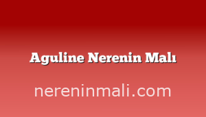 Aguline Nerenin Malı