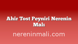 Ahir Tost Peyniri Nerenin Malı