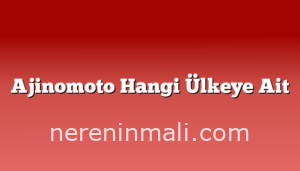 Ajinomoto Hangi Ülkeye Ait