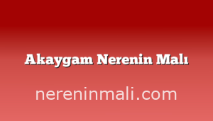 Akaygam Nerenin Malı