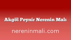 Akgöl Peynir Nerenin Malı