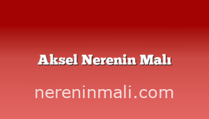 Aksel Nerenin Malı