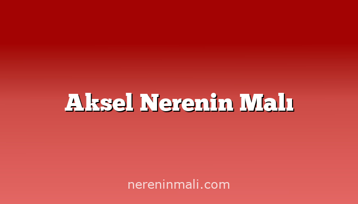 Aksel Nerenin Malı