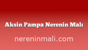 Aksin Pampa Nerenin Malı