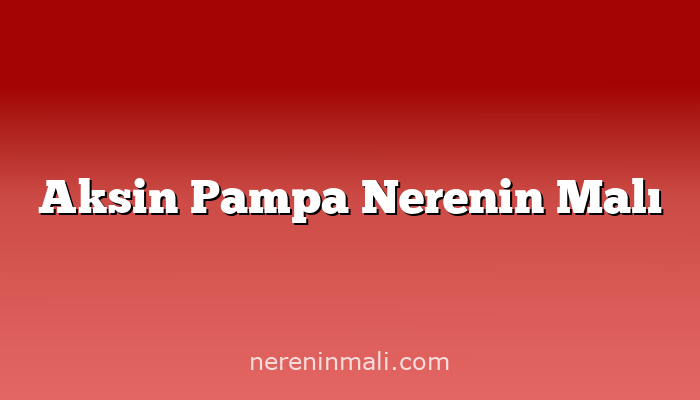 Aksin Pampa Nerenin Malı