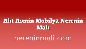 Akt Asmin Mobilya Nerenin Malı