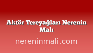 Aktör Tereyağları Nerenin Malı