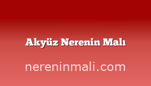 Akyüz Nerenin Malı