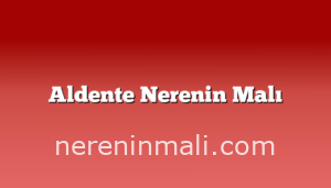 Aldente Nerenin Malı