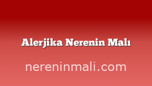 Alerjika Nerenin Malı