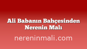 Ali Babanın Bahçesinden Nerenin Malı