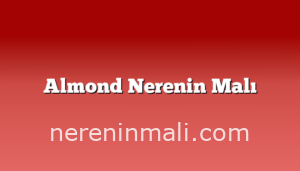 Almond Nerenin Malı