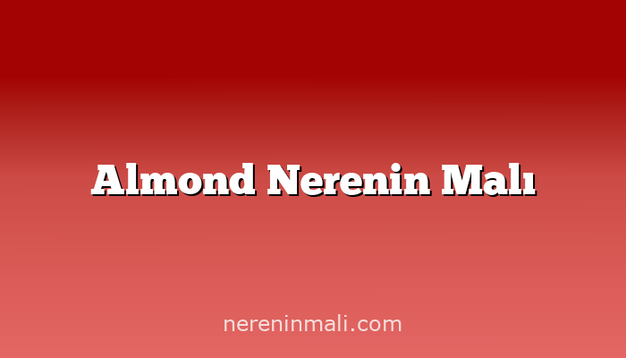 Almond Nerenin Malı