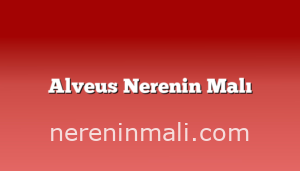 Alveus Nerenin Malı