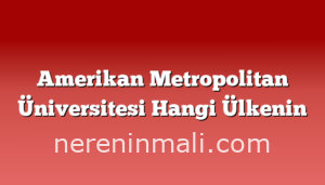 Amerikan Metropolitan Üniversitesi Hangi Ülkenin