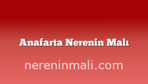 Anafarta Nerenin Malı