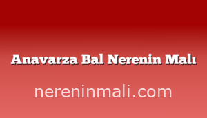 Anavarza Bal Nerenin Malı