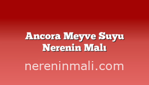 Ancora Meyve Suyu Nerenin Malı