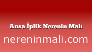 Ansa İplik Nerenin Malı