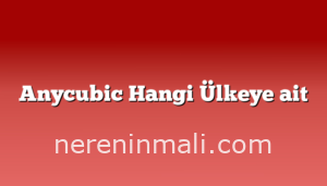 Anycubic Hangi Ülkeye ait