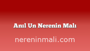 Anıl Un Nerenin Malı