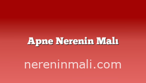 Apne Nerenin Malı