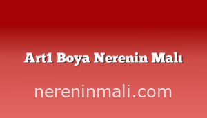 Art1 Boya Nerenin Malı