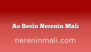 As Besin Nerenin Malı