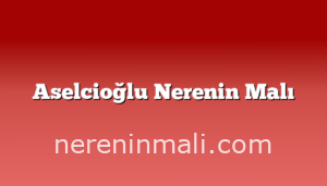 Aselcioğlu Nerenin Malı