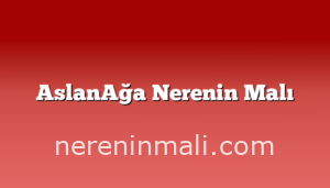 AslanAğa Nerenin Malı