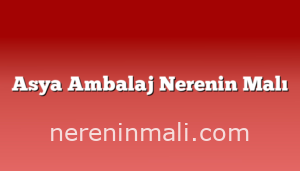 Asya Ambalaj Nerenin Malı