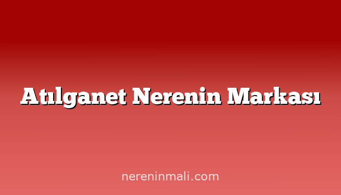 Atılganet Nerenin Markası