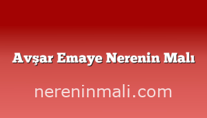 Avşar Emaye Nerenin Malı