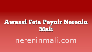 Awassi Feta Peynir Nerenin Malı