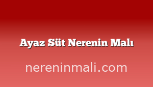 Ayaz Süt Nerenin Malı