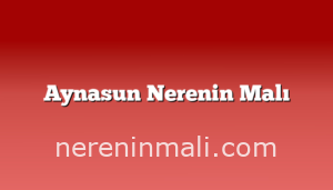 Aynasun Nerenin Malı